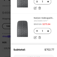 Macan 19inch winter tires
